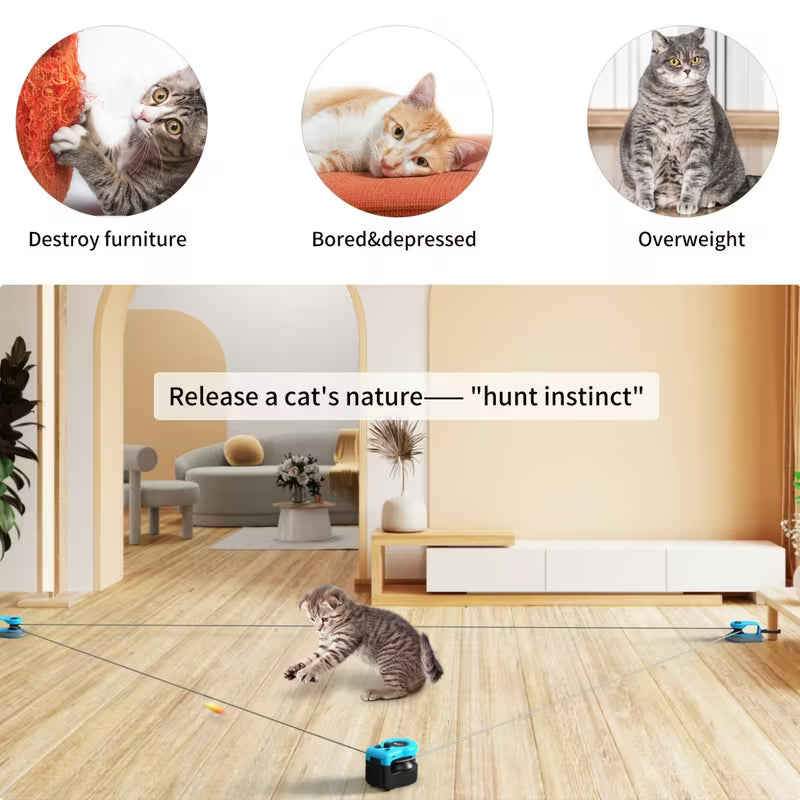 Interactive Cat Feather Chase Toy for Indoor Cats & Kittens