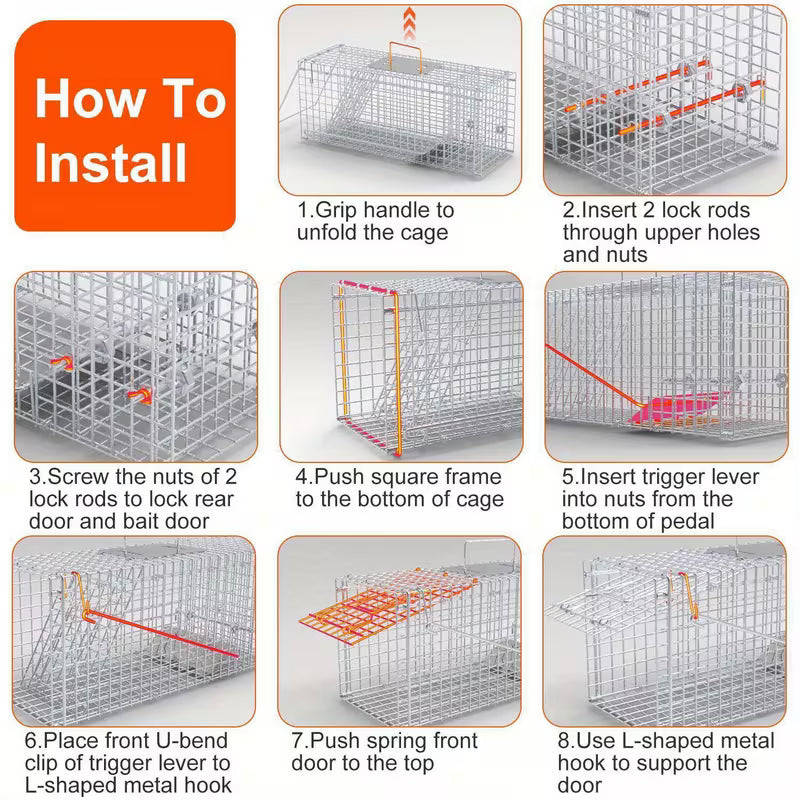 25.6" Humane Live Animal Trap Cage – Heavy-Duty Folding Design