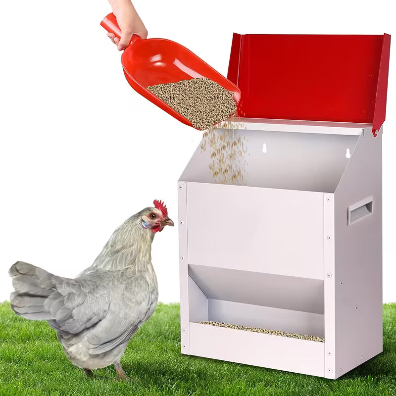 SXTSXT Automatic Wall-Mounted Metal Chicken Feeder 10LB/25LB
