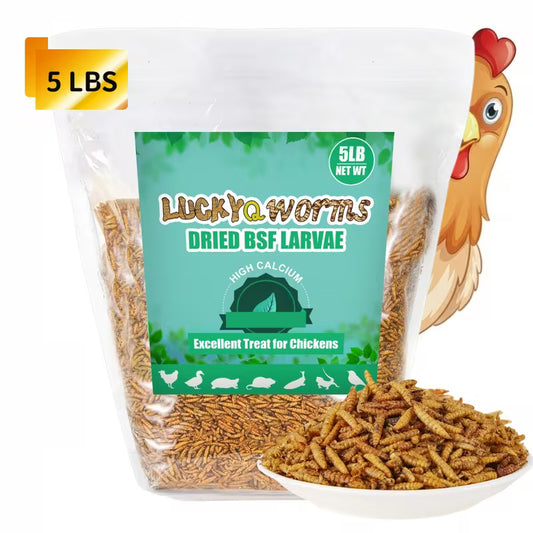 Dried Black Soldier Fly Larvae High-Protein Feed for Chickens & Pets