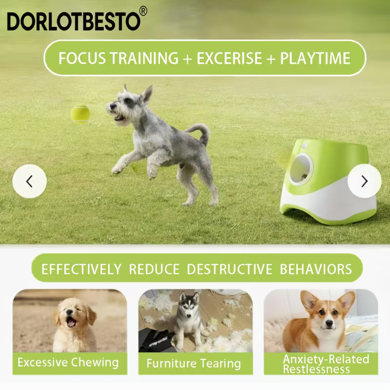 Automatic Dog Ball Launcher with Tennis Ball & Water Bowl
